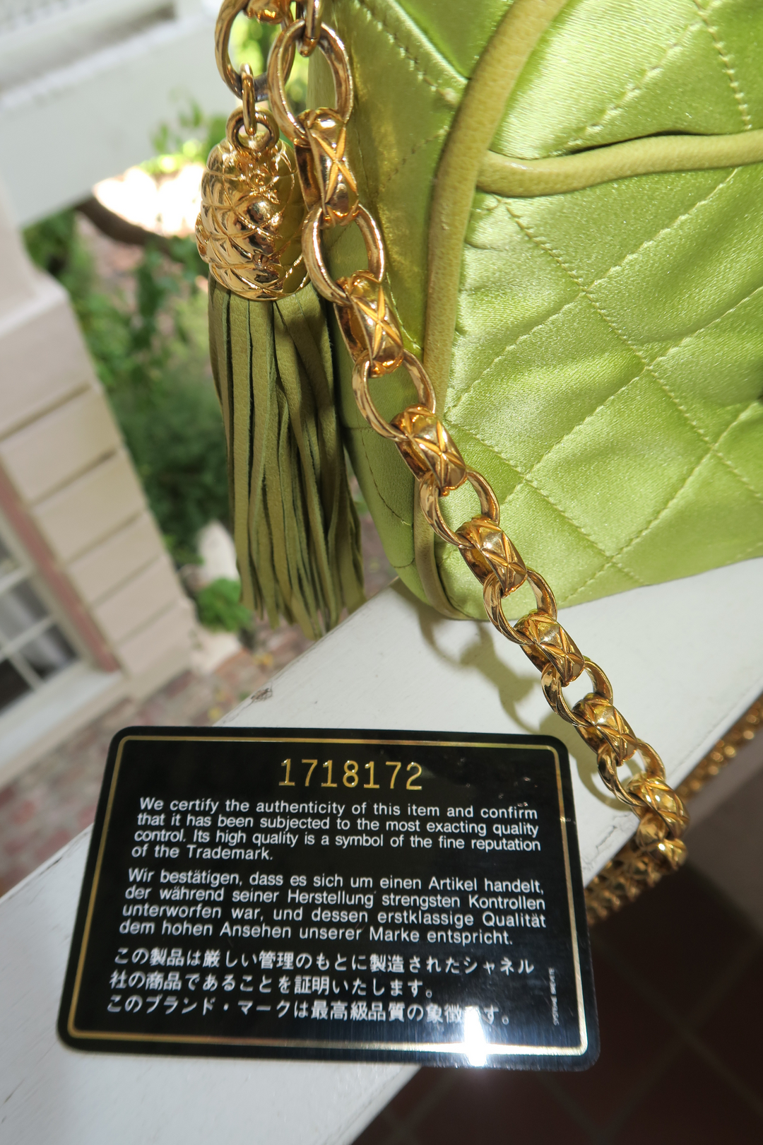 Chanel Silk Diana Camera Bag